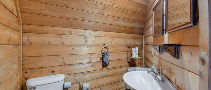 An Amazing Time Cabin - Pigeon Forge - Bathroom 1